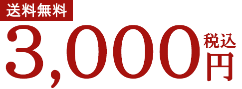 季節限定ページ_3000値段