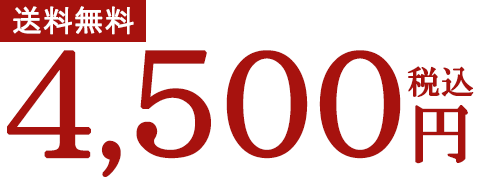 4500_値段