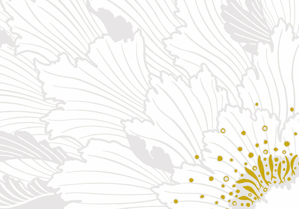 鯖牡丹HP用写真